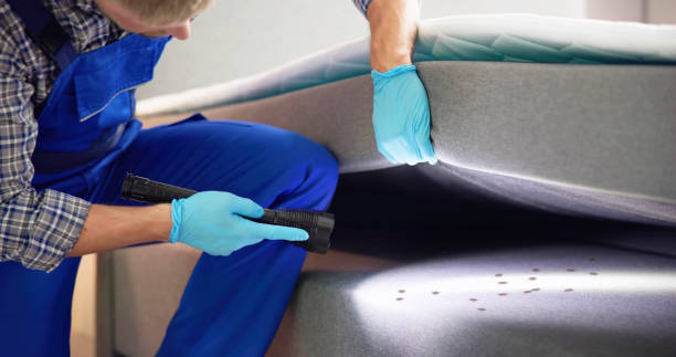 Wasp Removal Services in Leonardo, NJ