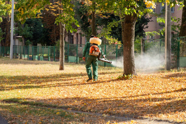 Best Pest Inspection Near Me  in Leonardo, NJ