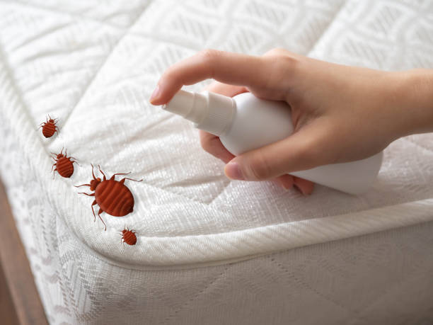 Best Local Pest Control Services  in Leonardo, NJ