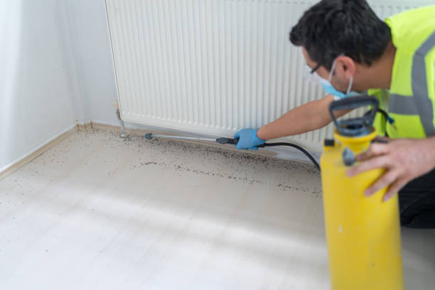 Best Termite Control Services  in Leonardo, NJ