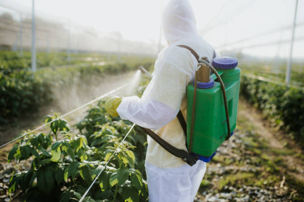Best Pest Removal Services  in Leonardo, NJ